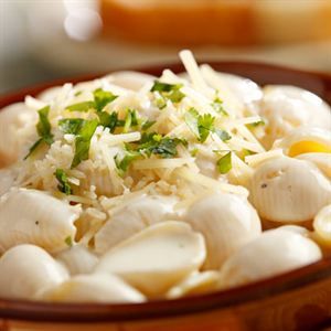 0002442 Wisconsin White Cheddar With Pasta Shells Single 300