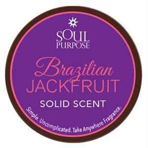 0003506 Brazilian Jackfruit Solid Scent 05 Oz 300