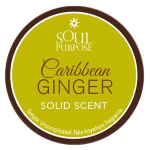 0003509 Caribbean Ginger Solid Scent 05 Oz 300