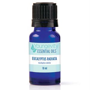 0003583 Eucalyptus Radiata Essential Oil 10ml 300 1