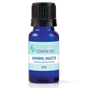 0003590 Lavender Mailette Essential Oil 10ml 300 1 1