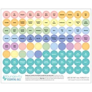 0006572 Essential Oil Sticker Sheet 300