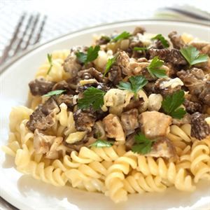 0007073 Gofoods Premium Pasta With Mushroom 300
