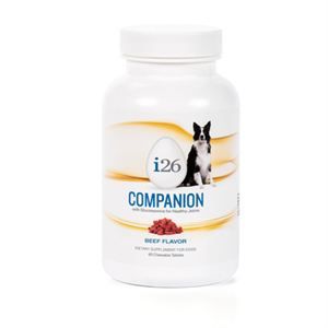 0008551 Dog Companion Chewable Beef 300