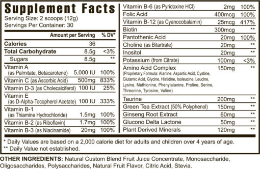 13223 Ygy 13223 Rebound Fx Citrus Punch Canister Suppfacts 0410