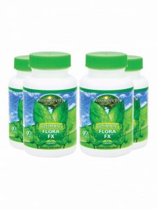 Digestion Support