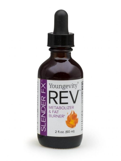 Rev 1 1