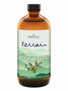 Usby800101 Terrain Holybasil 1