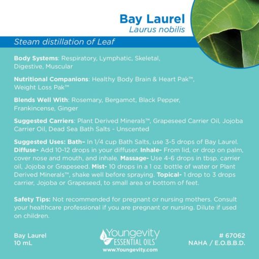 Ygy 67062 Baylaurel