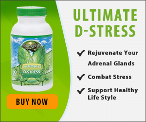 300 X 250 Dstress